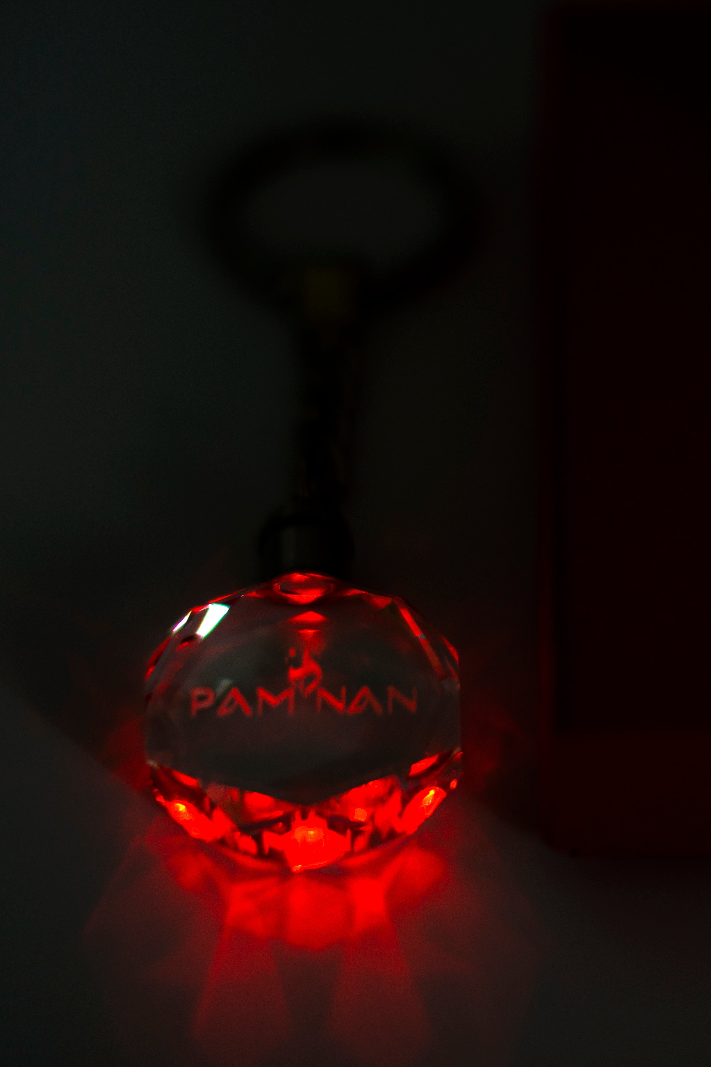 Crystal Keychain Lighted 3D Laser Engraved Logo Pamnan.