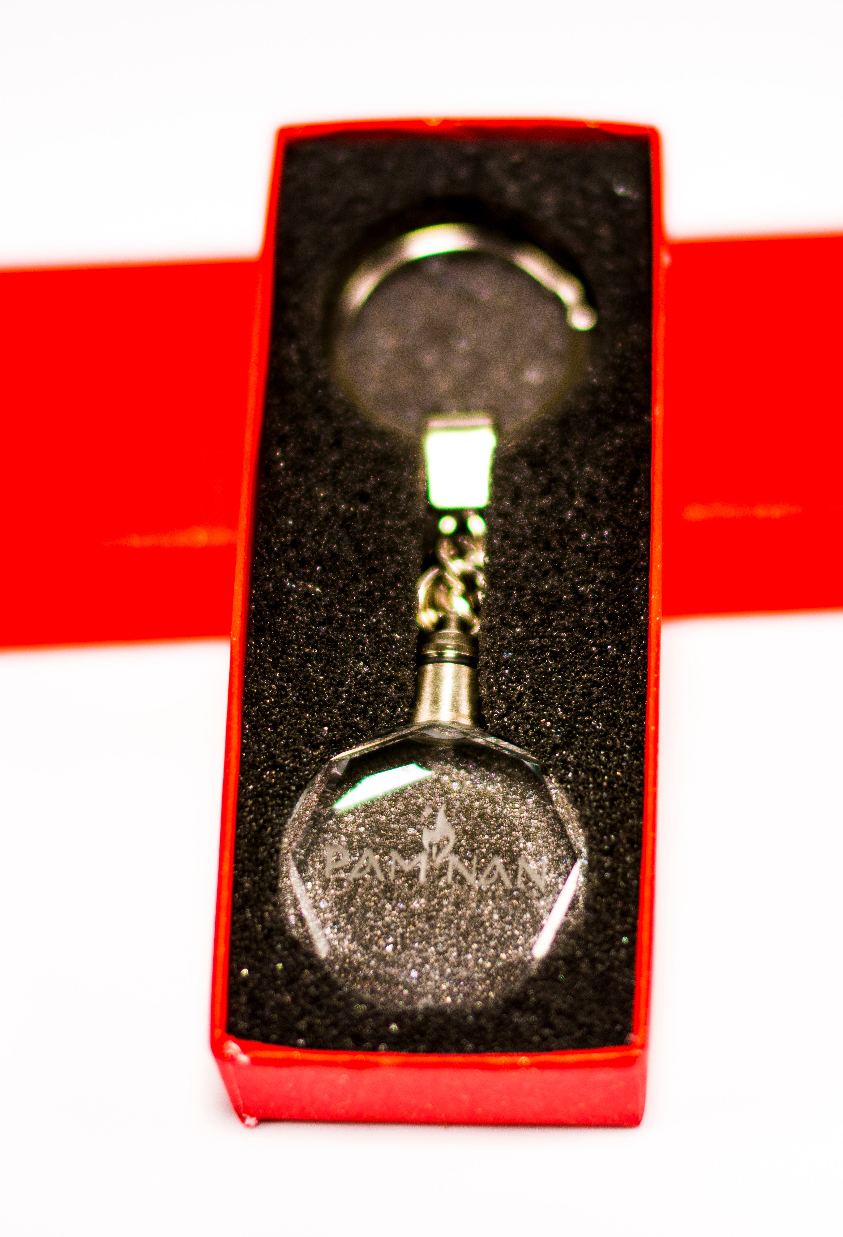 Crystal Keychain Lighted 3D Laser Engraved Logo Pamnan.
